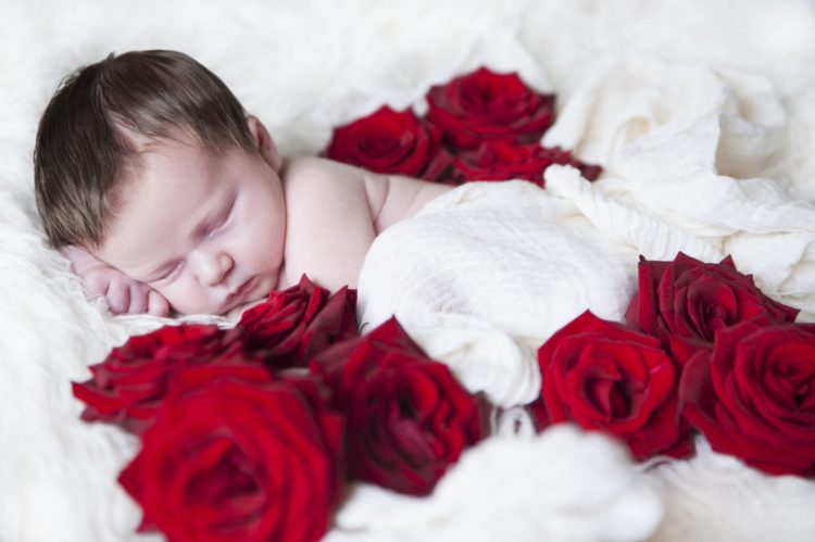 Newborn photography, Dublin